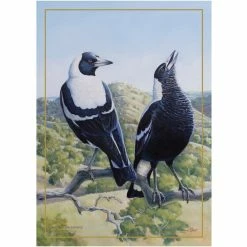 Maxwell and Williams Birds Of Australia Anniversary Tea Towel - Magpie