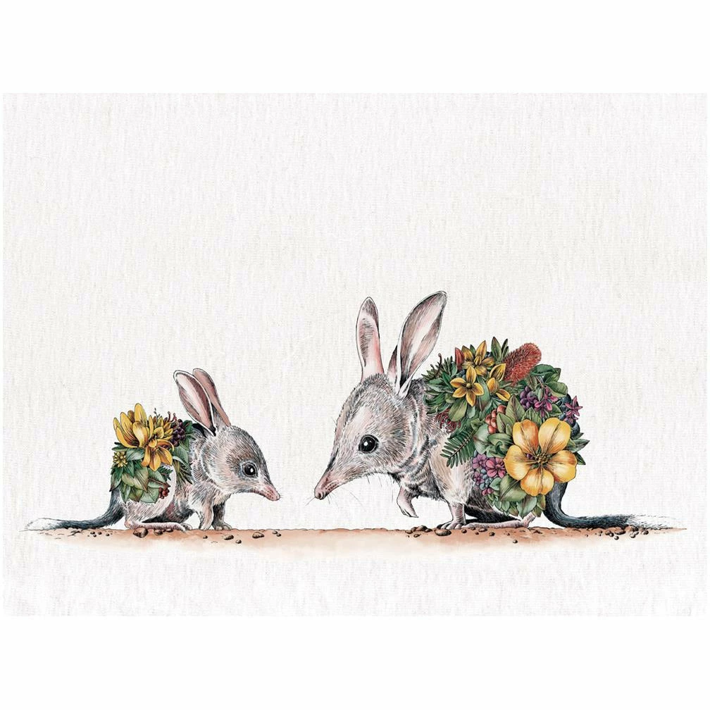 Maxwell and Williams Marini Ferlazzo Australian Families Tea Towel 50X70cm Bilby 1 Maxwell and Williams Marini Ferlazzo Australian Families Tea Towel 50X70cm Bilby