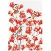 Maxwell and Williams Royal Botanic Gardens - Garden Friends Tea Towel 50X70Cm Spinebill